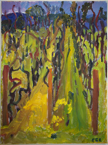 Napa vineyard