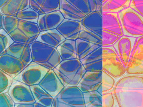 Cellular abstract 3 2