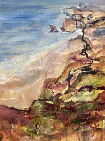 Big sur i 2