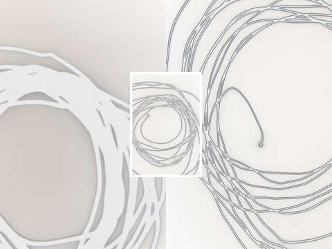 Creme curl 7789