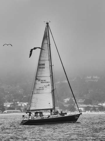 Sailboat 2