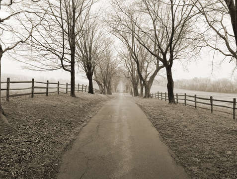 Araby farm lane