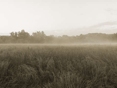 Monocacy fog
