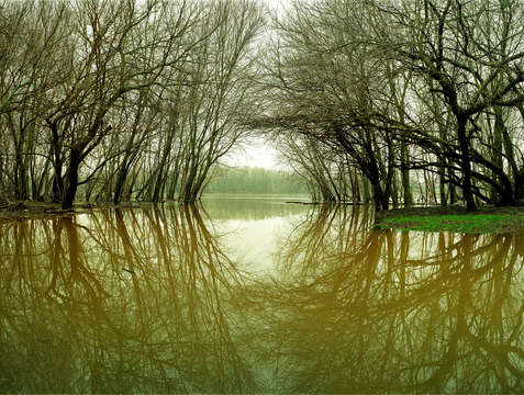 Edwards ferry