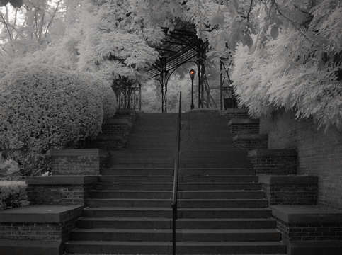 A single light