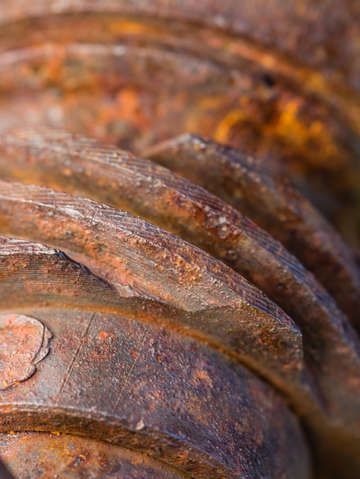 Rust 3