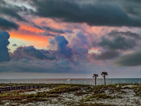 2 palms in the clouds dsc 0034