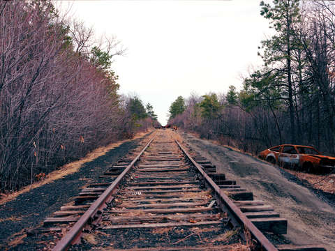 Tracks cape cod
