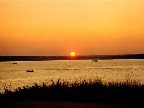 Newport with boats