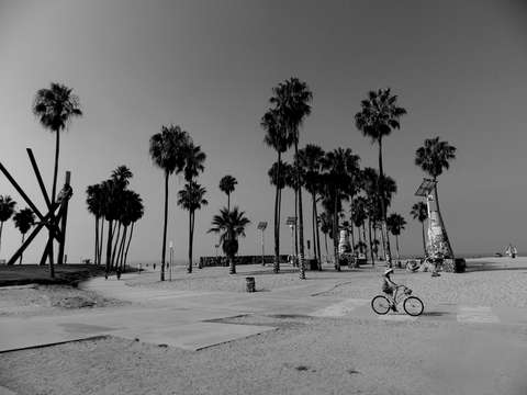 Venice wide shot