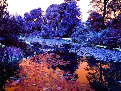 Meditative city 46