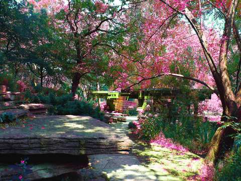 Meditative city 47