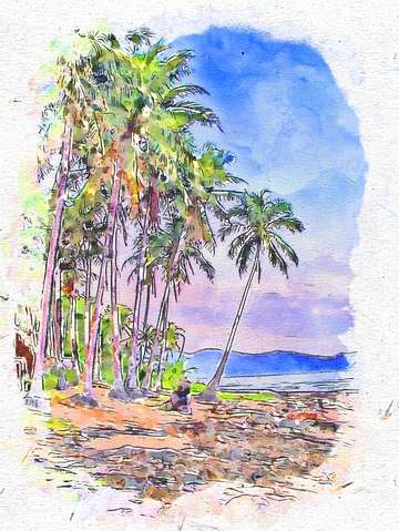 Paradise 10