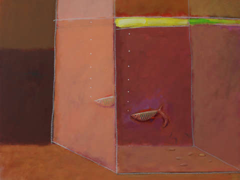Aquarium 10