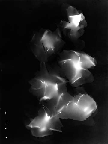 Press them flowers 01