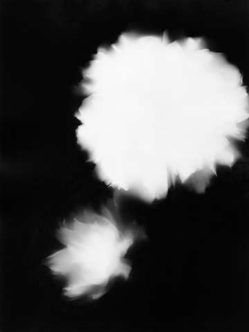 Press them flowers 03
