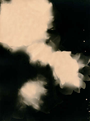 Press them flowers tinted 03