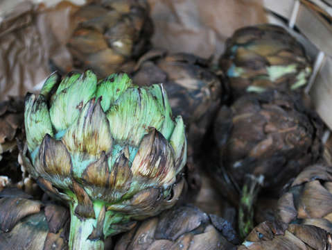 Artichoke