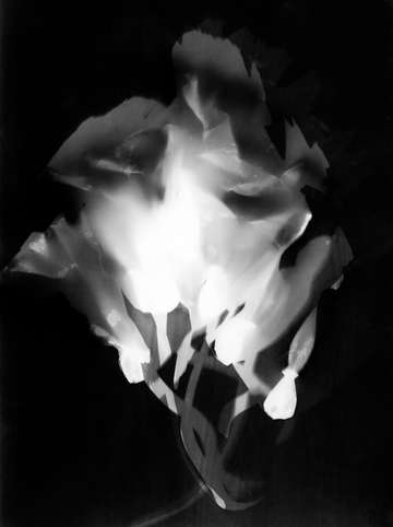 Press them flowers 05