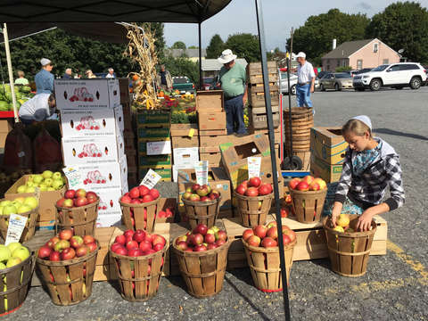 Apple seller