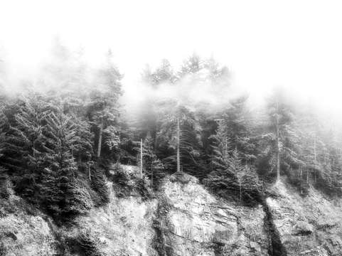 Oregon fog