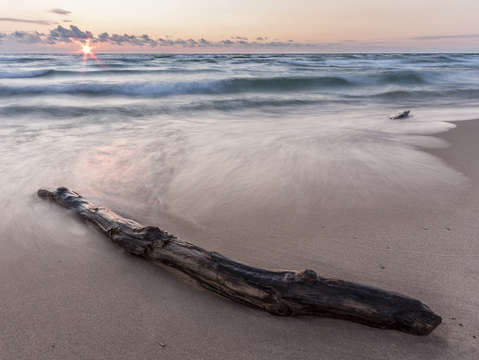 Lake michigan driftwood