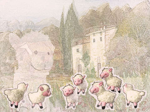 Woolly sheep playing 7953