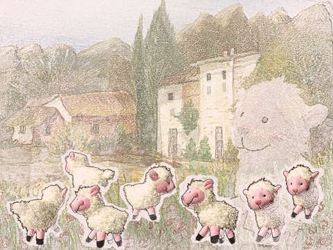 Woolly sheep playing 7954