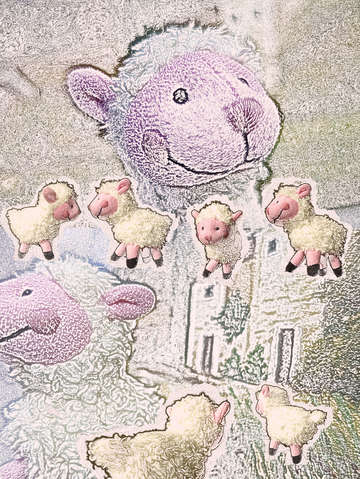 Woolly sheep playing 7955