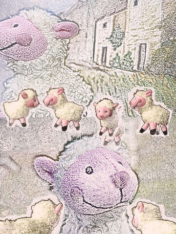 Woolly sheep playing 7956