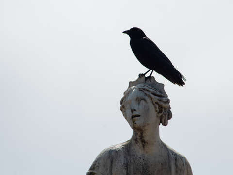 Versailles 03