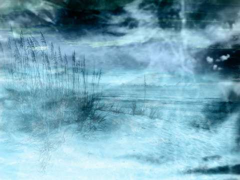 Sea oats in blue