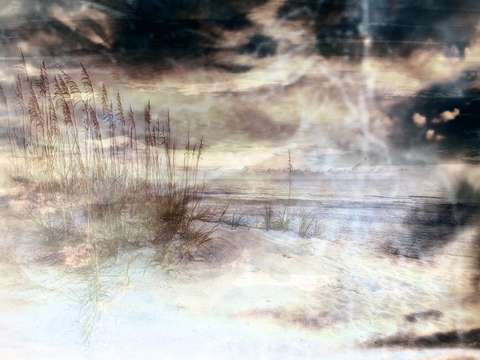 Sea oats in storm