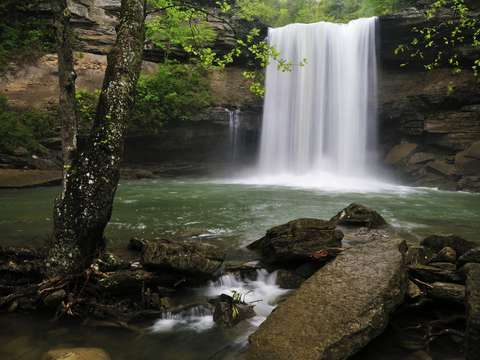 Greeter falls