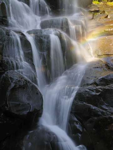 Ramsey cascades