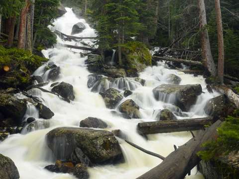Calypso cascades