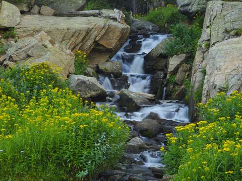 Meadow cascade