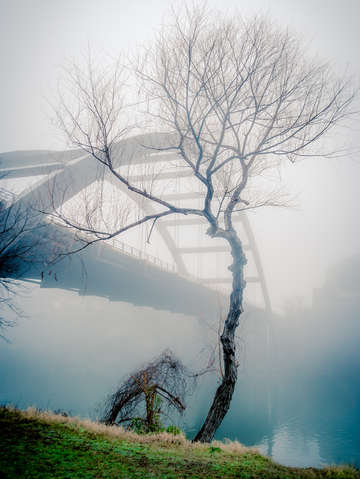 Pennybacker bridge