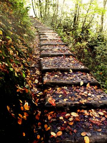 Stone path