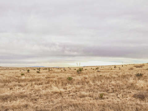Marfa walk land and sky