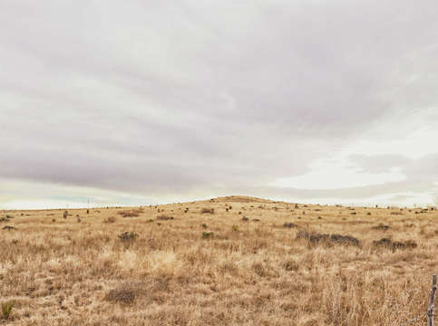 Marfa walk bump