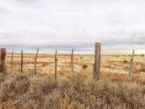 Marfa walk fence