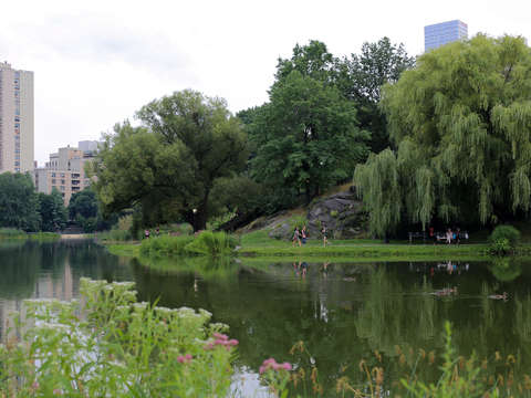 Lakeside path ii central park nyc