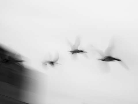 In flight 2