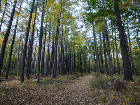 The path 7