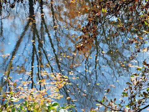 Reflections 5