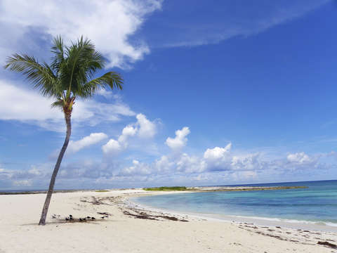 Paradise 11