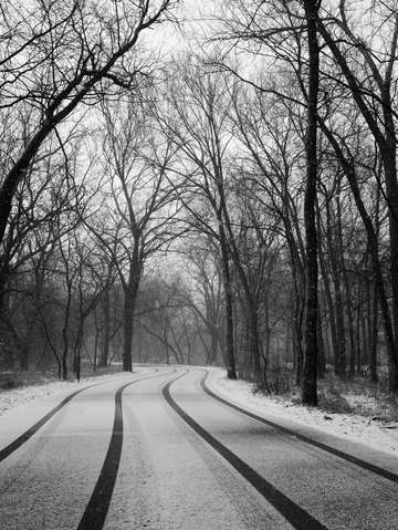 Winter path