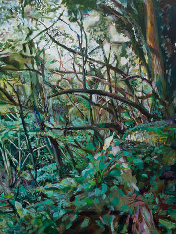 Lime kilm copse