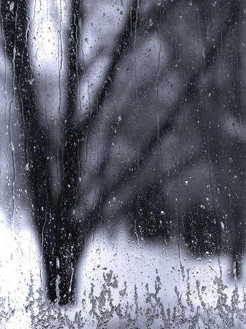 February in connecticut